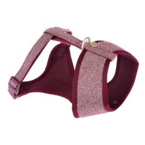 Nomad Tales Calma Harness – Burgundy