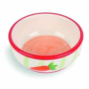 Pet Carrot Stripe Pet Bowl